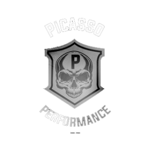 picasso performance logo